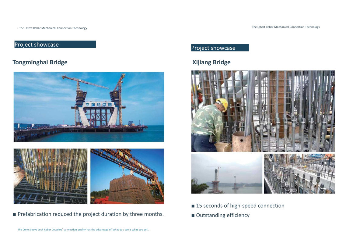 ReoGrip Project - Tongminghai Bridge and Xijiang Bridge